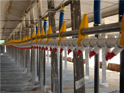 �B(y��ng)���O(sh��)��-�� ˮ��