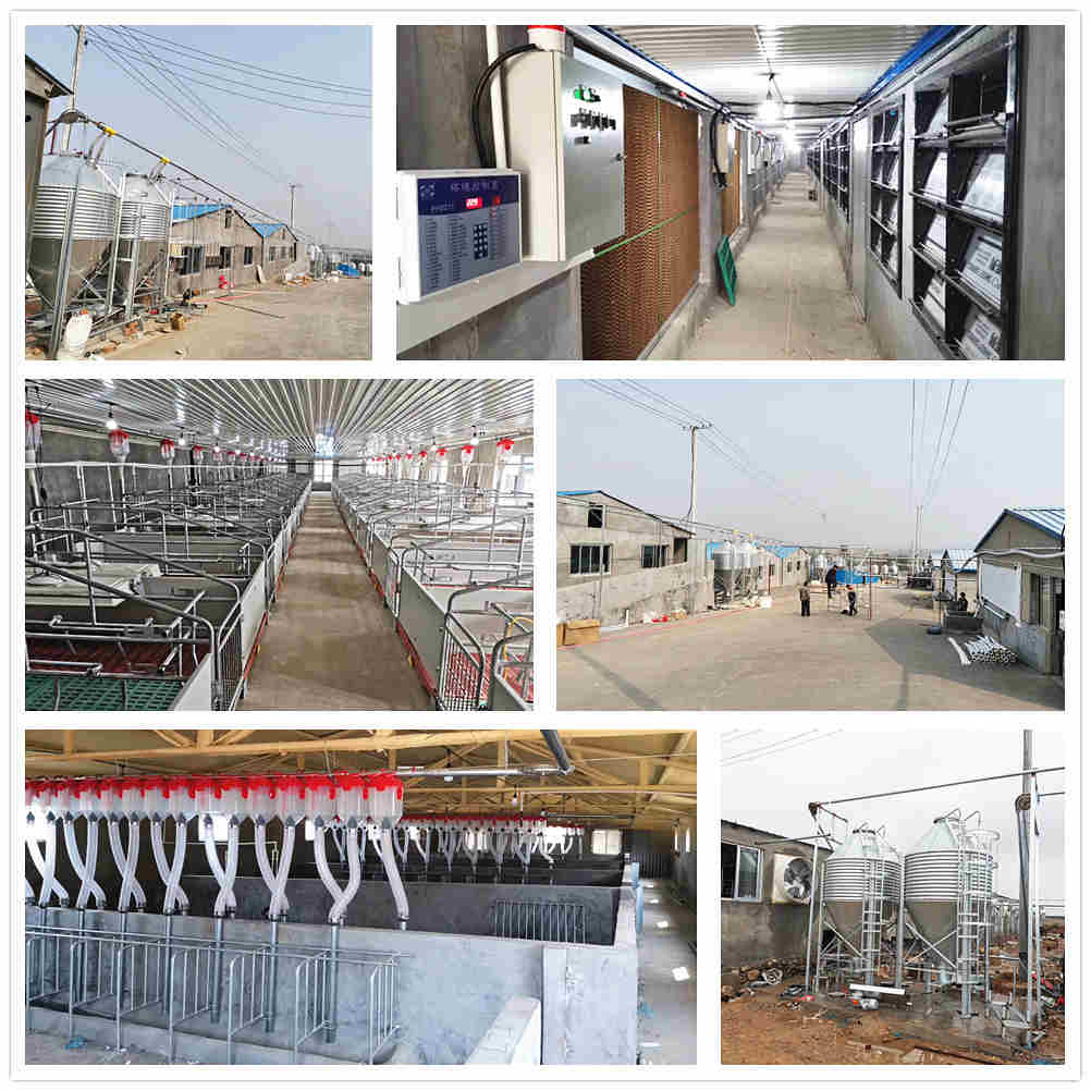 1800�^ĸ�i耳׹�����β�{(di��o)ԇ��