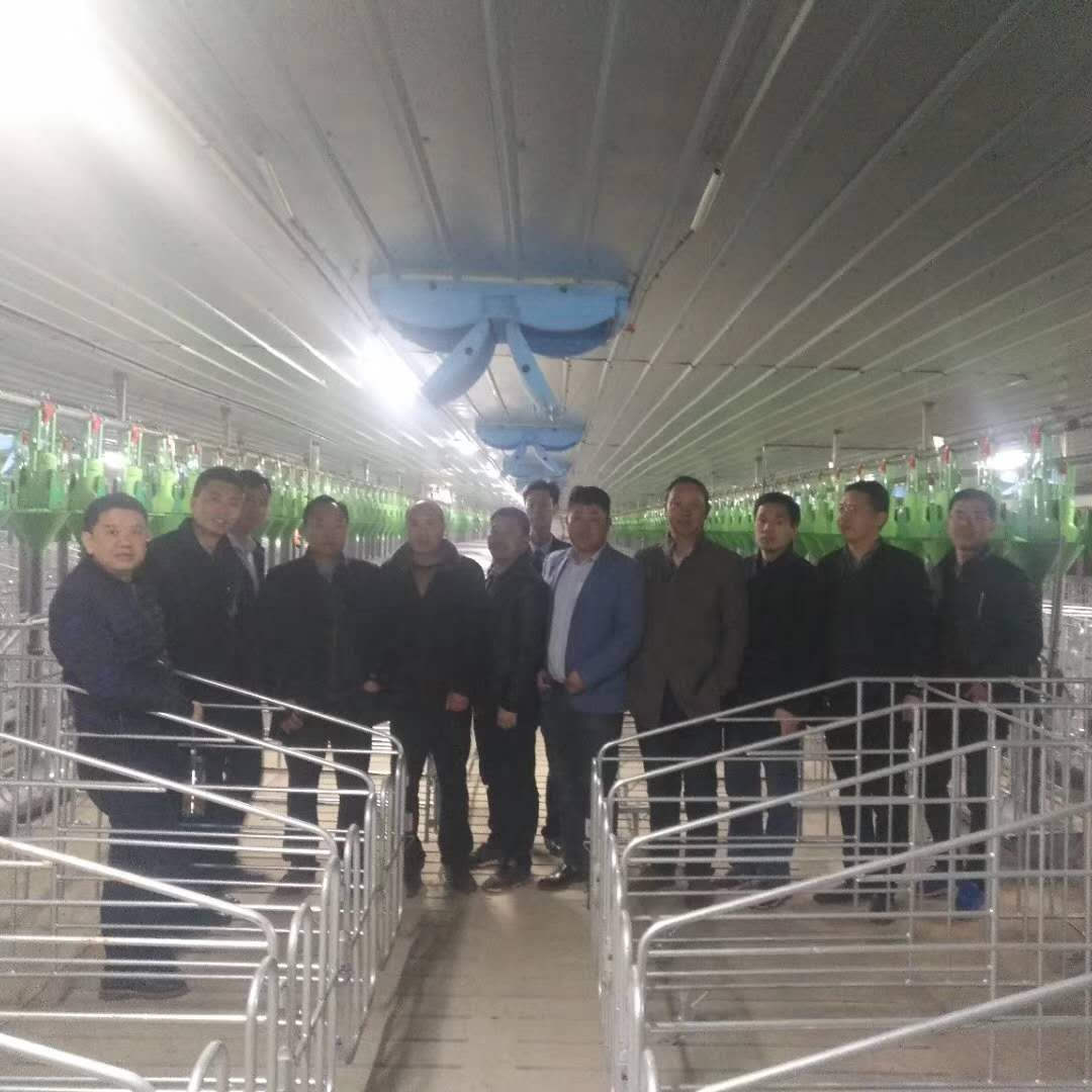 ���������ɷ��f(w��n)�^�i��(ch��ng)�(xi��ng)Ŀ